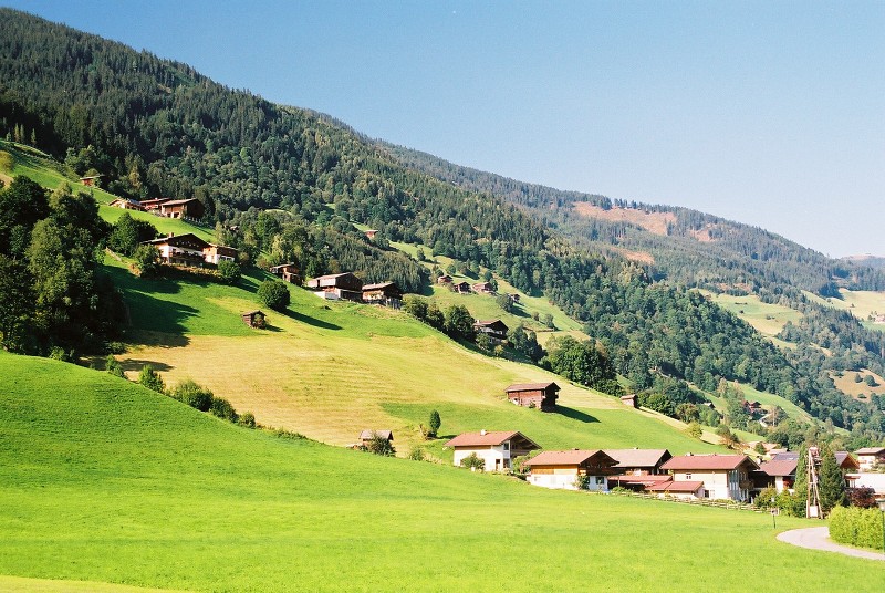 img00042.jpg