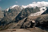 Mt. Ortler (3905 m)