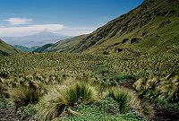 Vhled na Chimborazo
