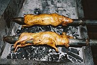 Cuy - morče na rožni