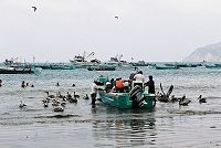 Rybi v Puerto Lopz