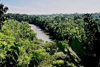 Prales a Rio Arajuno
