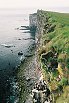 Útesy - Látrabjarg