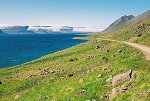 Hrafnseyri a záliv Arnarfjörður