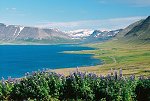 Zliv Drafjrður, v pozad hora Sjnfrð