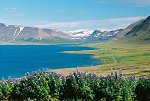 Záliv Dýrafjörður, v pozadí hora Sjónfríð