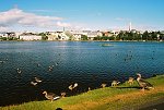 Jezero Tjörnin v centru Reykjavíku