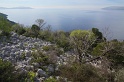 IMG_5191