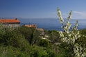 IMG_5326