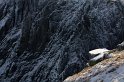IMG_0237