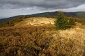 IMG_10004