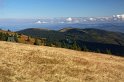 IMG_10101