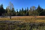 IMG_3044.jpg