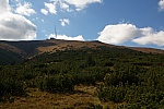 IMG_3075.jpg