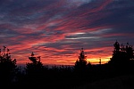 IMG_3116.jpg