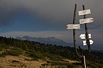 IMG_3150.jpg