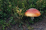 IMG_3155.jpg