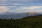 IMG_3177.jpg