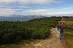 IMG_3178.jpg