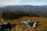 IMG_3212.jpg