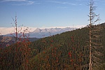 IMG_3224.jpg