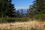 IMG_3229.jpg