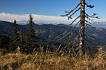 IMG_3239.jpg