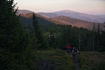 IMG_3242.jpg