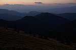 IMG_3257.jpg