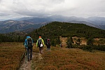 IMG_3330.jpg