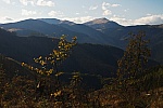 IMG_3349.jpg