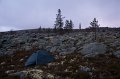 IMG_6239
