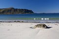IMG_6630