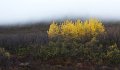 IMG_6715