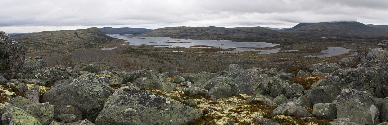 IMG_6220_vonsjovola.jpg - Panorama jezera Vonsjøen. Kam až oko dohlédne se všemi směry táhne neporušená divočina bez známek civilizace.