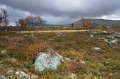IMG_6151
