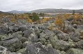 IMG_6209