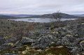 IMG_6235