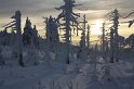 IMG_4707