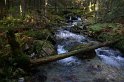IMG_4173
