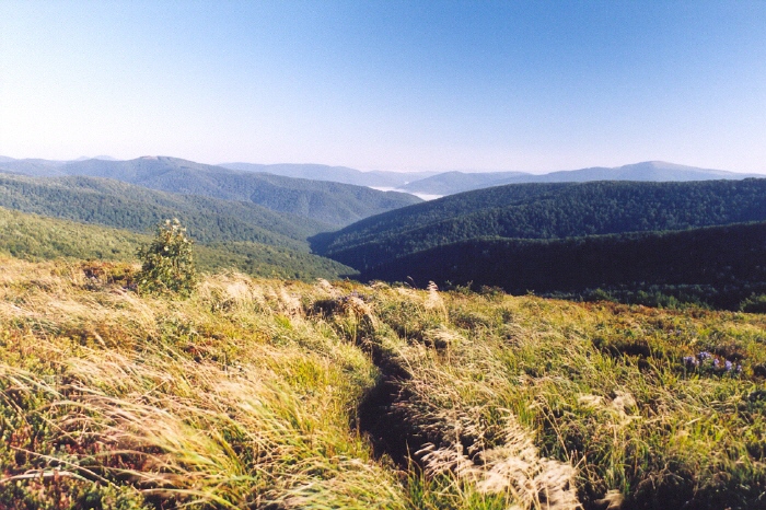 kliknutm zavete okno