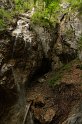 IMG_5451