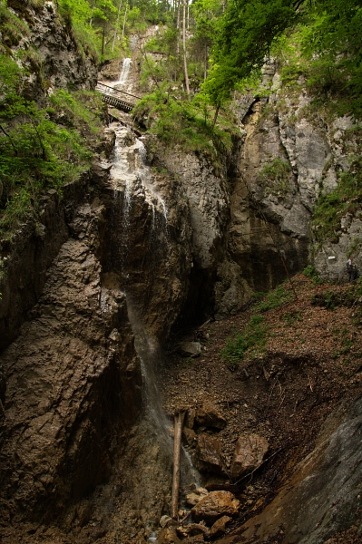 IMG_5446.jpg