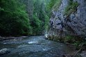 IMG_5482
