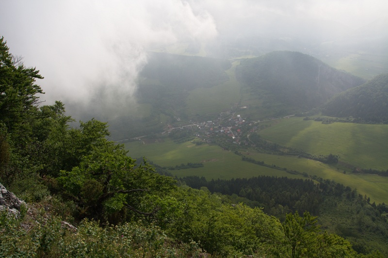 IMG_7508.jpg