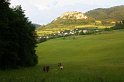 IMG_7502