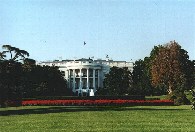 Bl Dm (The White house)