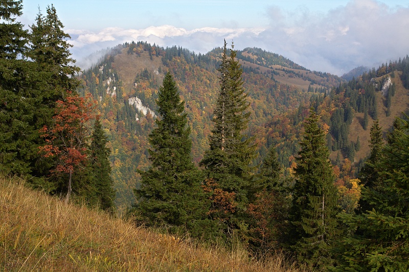 IMG_8952.jpg