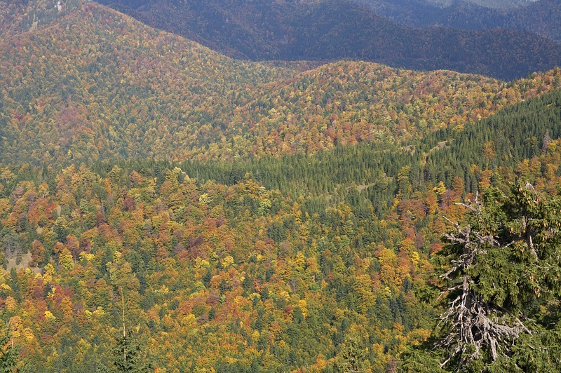 IMG_8917.jpg