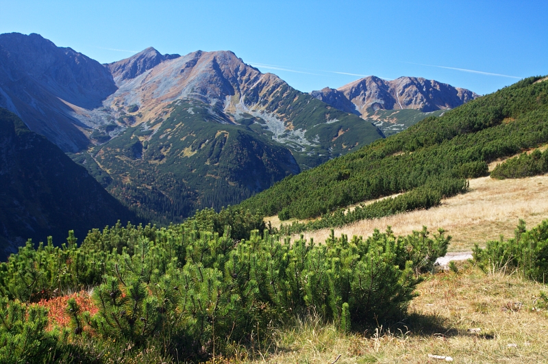 IMG_6886.jpg